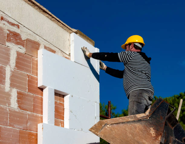 Best Cellulose Insulation  in Neosho, MO