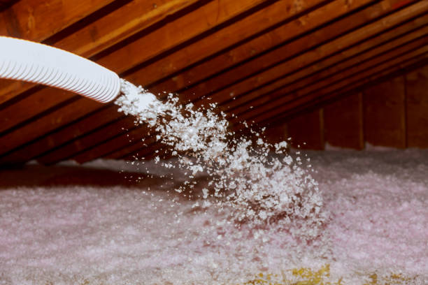 Best Spray Foam Insulation  in Neosho, MO