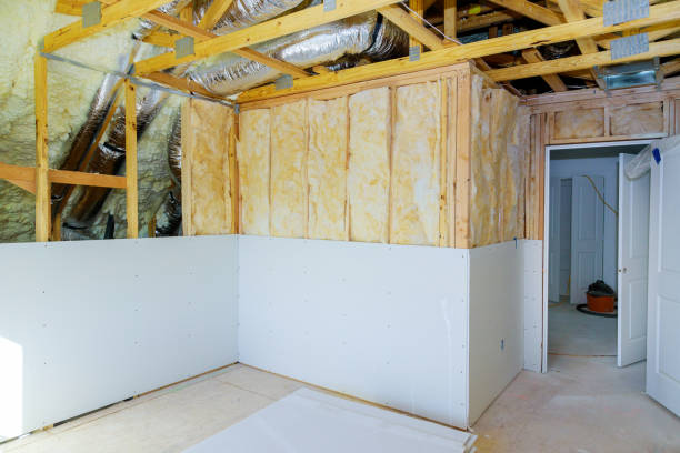 Best Insulation Inspection Services  in Neosho, MO