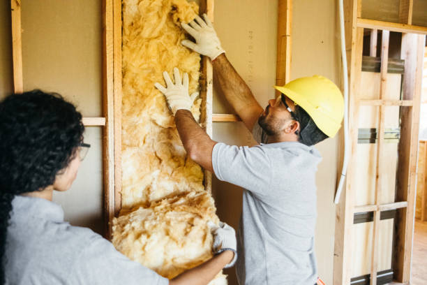  Neosho, MO Insulation Contractor Pros