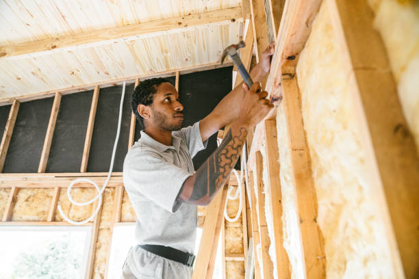 Best Residential Insulation Services  in Neosho, MO