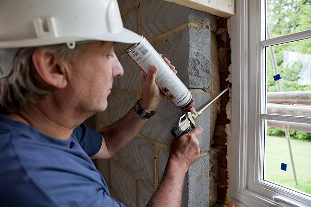 Best Insulation Contractors for Homes  in Neosho, MO