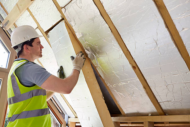 Best Local Insulation Services  in Neosho, MO