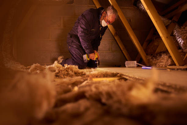 Best Insulation Removal  in Neosho, MO