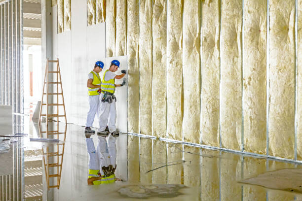 Best Soundproof Insulation Installation  in Neosho, MO